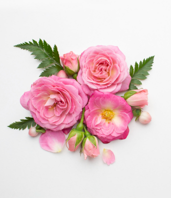flowers-img