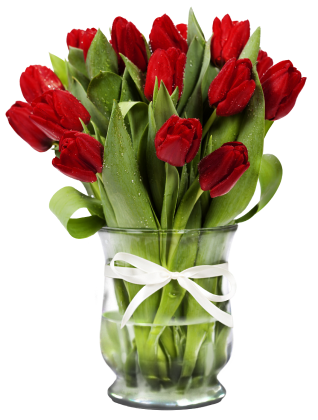 flower-vase